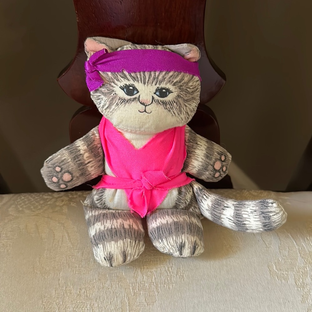 Rare Dustyn Schear pre-Applause yoga/aerobics cat in EUC!
